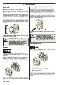 Страница 424