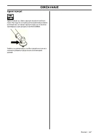 Страница 447