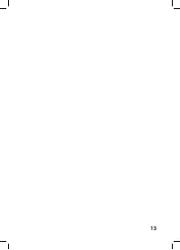 Страница 13