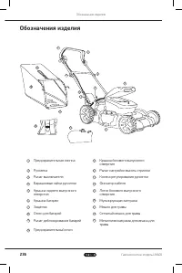Страница 236