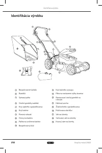 Страница 250