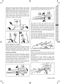 Страница 125