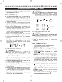 Страница 231