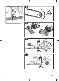 Страница 255