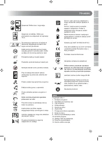 Страница 243
