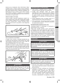 Страница 175