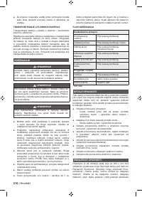 Страница 218