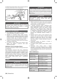 Страница 238