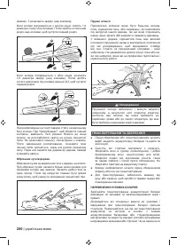 Страница 262
