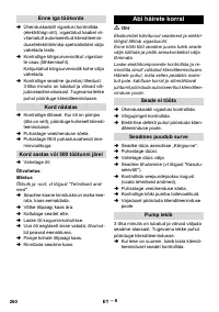 Страница 260