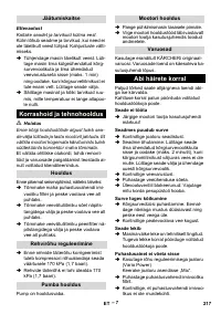 Страница 217