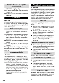 Страница 234