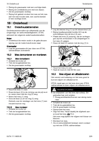 Страница 229