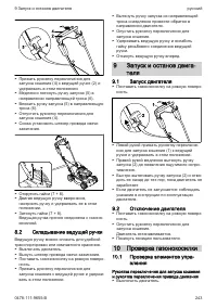 Страница 243