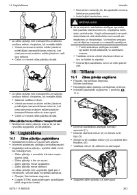 Страница 263