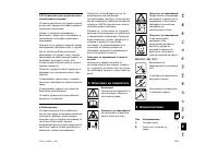 Страница 263