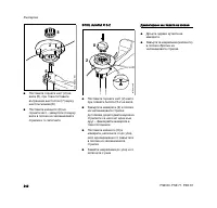 Страница 244