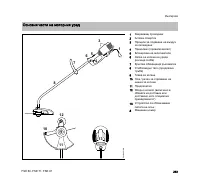 Страница 255