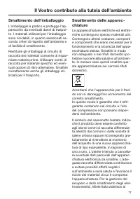 Pagina 17