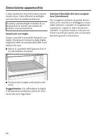 Pagina 28