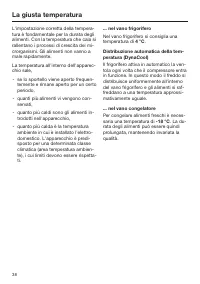 Pagina 38