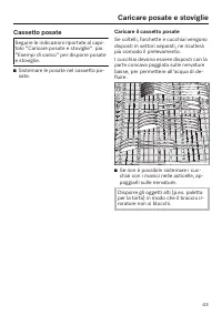 Pagina 43