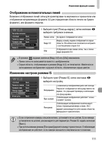 Страница 111