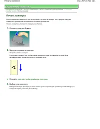 Страница 267