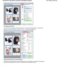 Страница 483