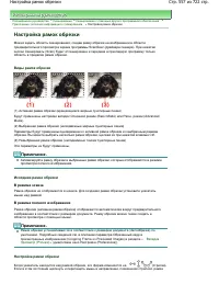 Страница 557