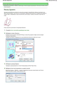 Страница 243