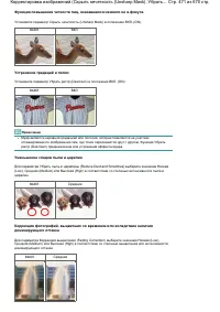 Страница 471