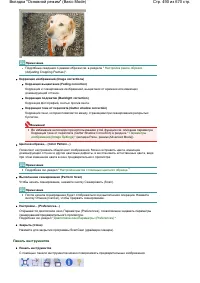 Страница 490