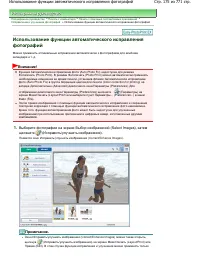 Страница 175