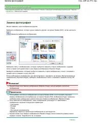 Страница 229