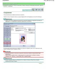 Страница 239