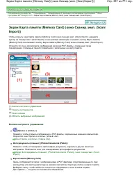 Страница 447