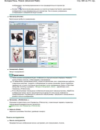 Страница 565