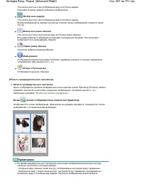 Страница 567