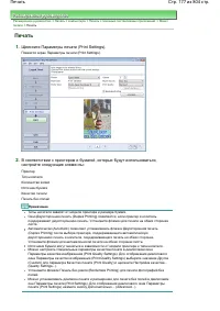 Страница 177