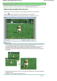 Страница 210