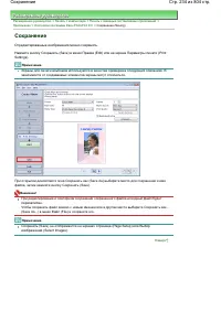 Страница 234