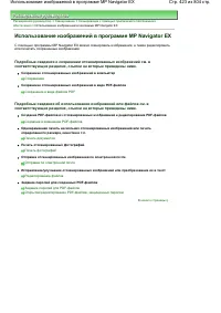 Страница 423