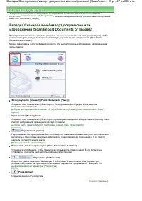 Страница 447