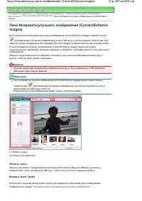 Страница 481