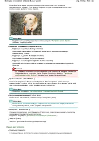 Страница 568