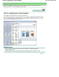 Страница 243