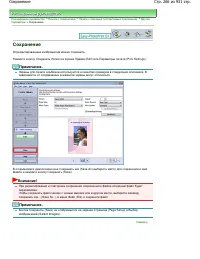 Страница 266