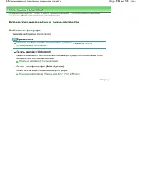 Страница 431