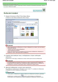 Страница 119